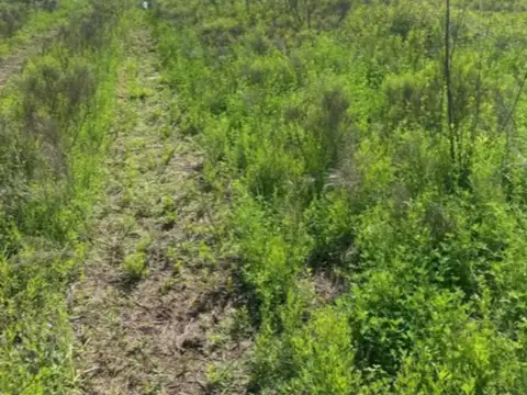 Terreno en Venta en Perez, USD 98.000