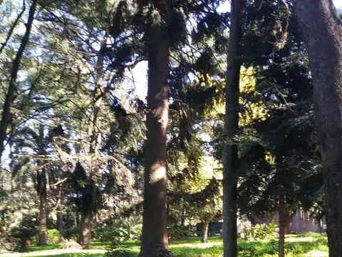 Terreno en Venta de 607,0 m2
