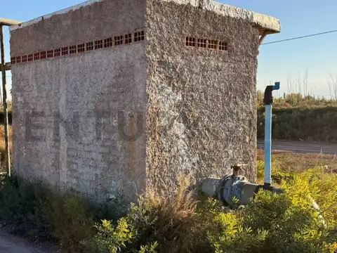 Los Pinos y Olascoaga , Piso 0