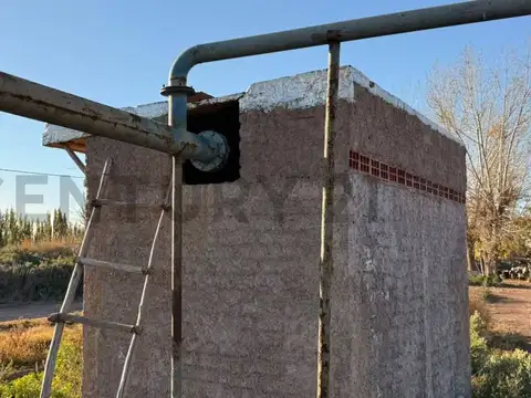 Venta de Finca. Corralitos Maipú.