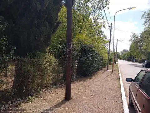 Esmeralda Y Alvarez Jonte