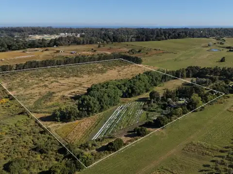 Chacra en venta 6 Hectáreas