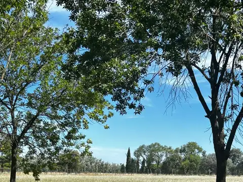 Ruta Provincial 193