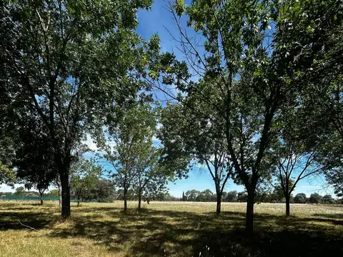 Terreno en Venta en La Macarena, USD 140.000