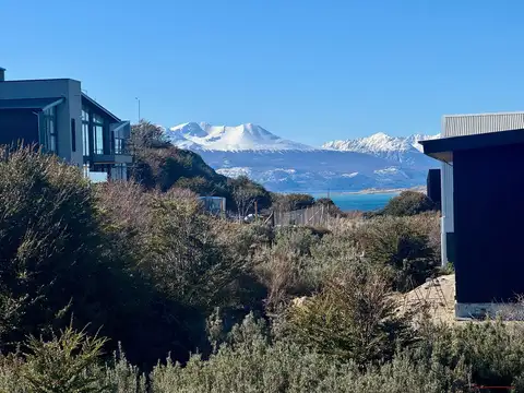 Costa Susana 100