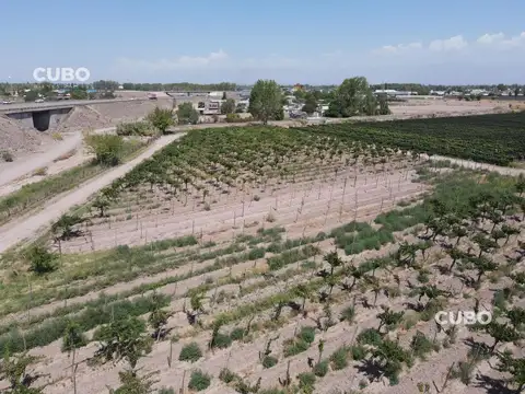 27RW+XJ7 km 8, Mendoza