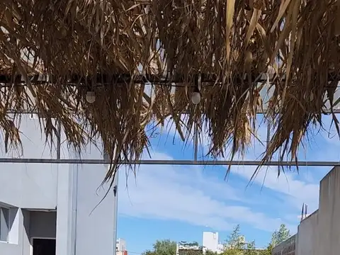 3 entre 498 y 499 100