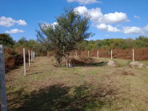 Terreno en Venta 14  mts Frente