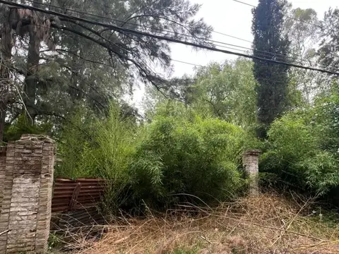 Terreno en Venta en Tigre Centro, USD 44.000