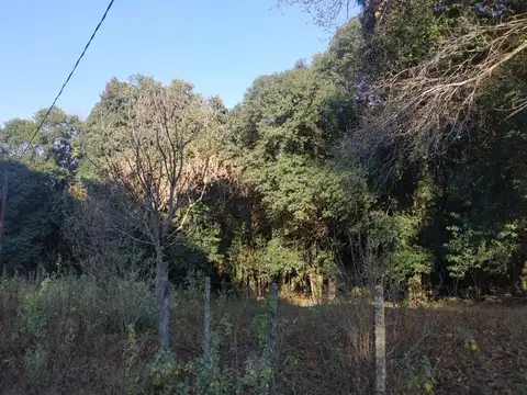 Pasaje Privado Villa Las Selvas