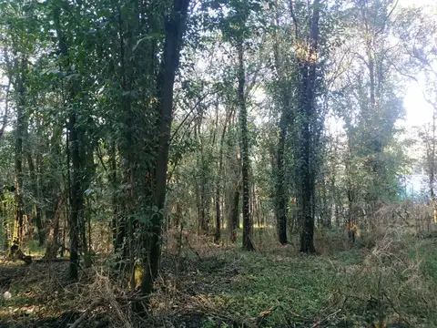 Terreno en Venta de 3150,0 m2