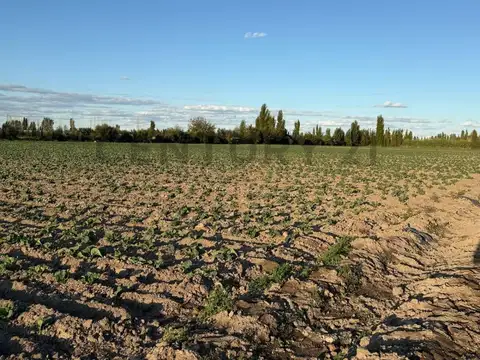 Terreno en Venta en Rodeo del Medio, USD 180.000