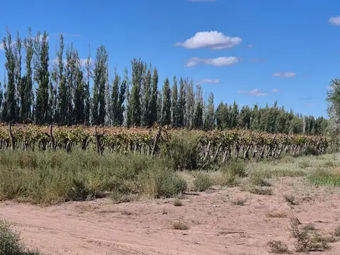 Carril Chimbas Ruta Provincial 41 100