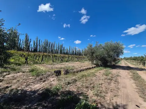 Carril Chimbas Ruta Provincial 41 100