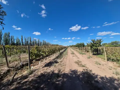 Carril Chimbas Ruta Provincial 41 100