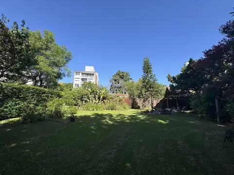 Chacabuco Tigre centro 200