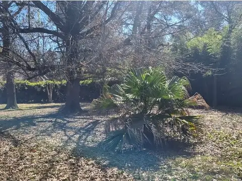 Terreno en Venta de 738,0 m2