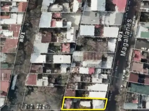 Carlos F. Melo 100