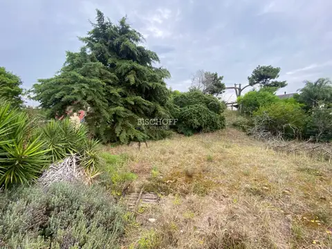 Terreno en Venta en Norte, USD 95.000