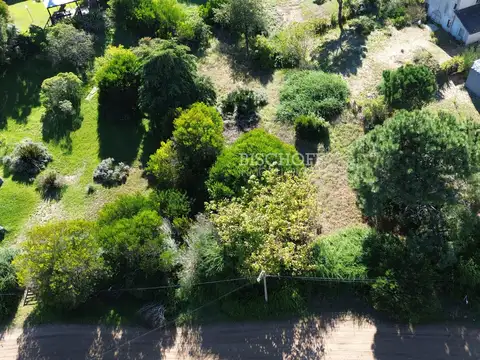 Terreno en Venta de 1017,0 m2