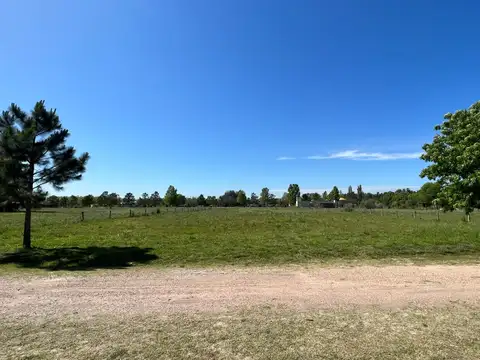 Terreno en La Arbolada