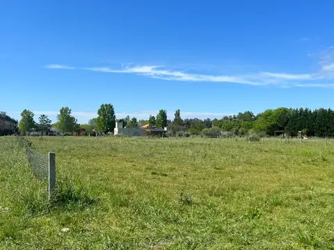 Terreno en La Arbolada