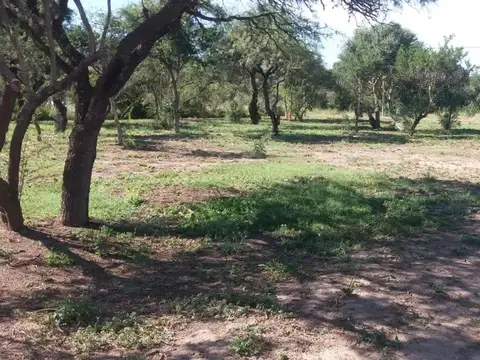 Cortaderas, loteo Campos de Elvira, lotes de  m2