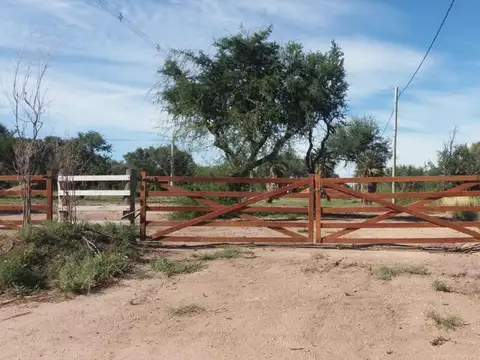 Cortaderas, loteo Campos de Elvira, lotes de  m2