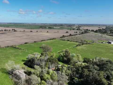 Campo en Venta Agrícola