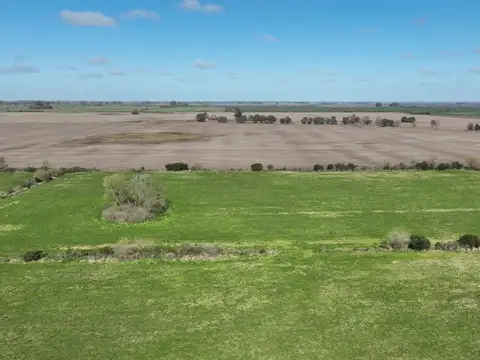 Fracción sobre ruta 8, Km. 79,500