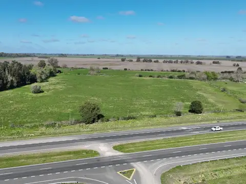 Campo en Venta Agrícola