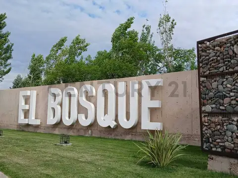 Terreno en Venta de 300,0 m2