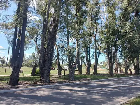 Terreno en Venta en Pilar Del Este, USD 41.000