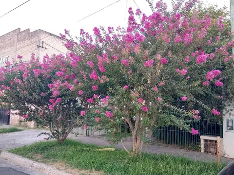 Casa Chalet  en Venta en Rincón de Milberg, Tigre, G.B.A. Zona Norte
