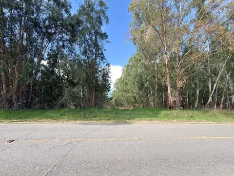Terreno en Venta de 2462,0 m2