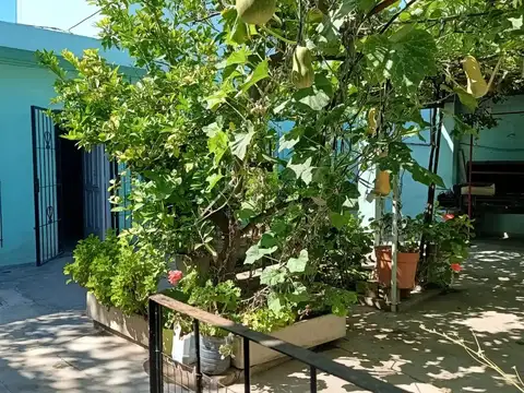 Sergio Boronoff 2792