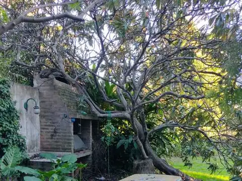 VENTA TERRENO CON MEJORAS, LAFERRERE, AÑOSA ARBOLEDA/PARRILLA