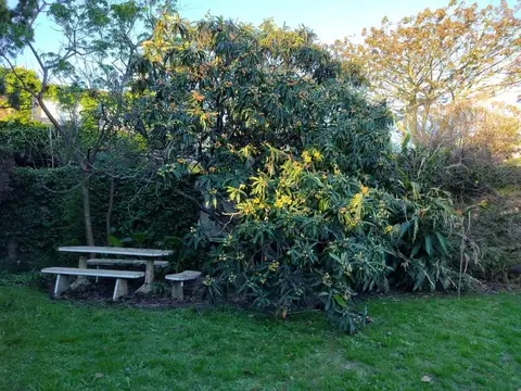 Terreno en Venta 26,20  mts Fondo