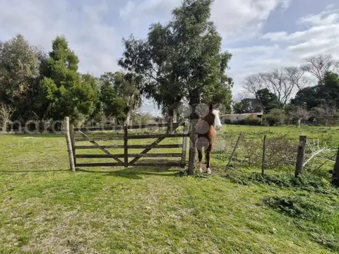 Terreno en Venta de 7738,0 m2