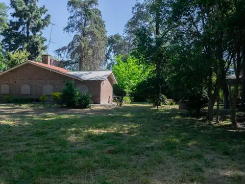 Mar del Plata  al 1000