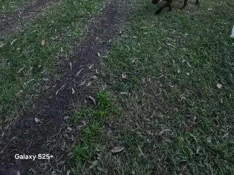 Terreno en La Bota