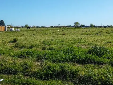 Don Pedro Ayala y Primera Junta  M 86 L7