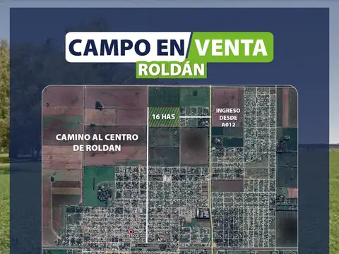CAMPO EN ROLDAN 16HAS