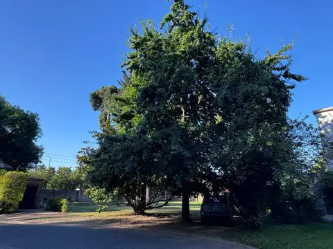 Terreno en Venta en Villa Bertha, USD 99.900