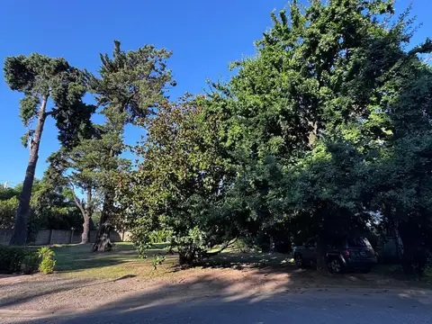 Terreno en Venta de 1146,0 m2