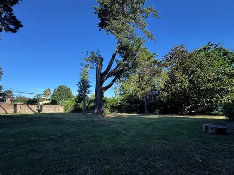 Terreno en Venta en Villa Bertha, USD 99.900