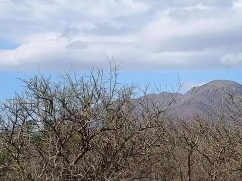 Terreno en Venta de 8750,0 m2