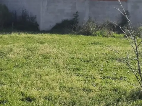 Lote/terreno