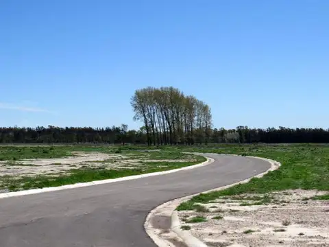 Terreno en Venta de 742,0 m2