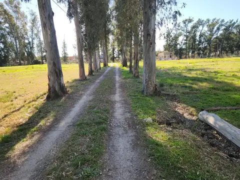 Avenida 13 Y 600